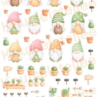 Gnomes cactus knipvel4