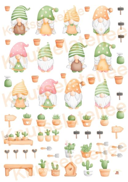 Gnomes cactus knipvel4