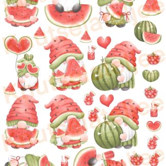 Gnomes Watermeloen 1