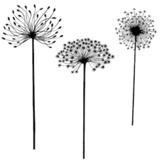 Dandelions