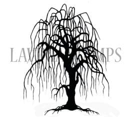 Weeping Willow Tree