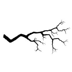 Tree Branch