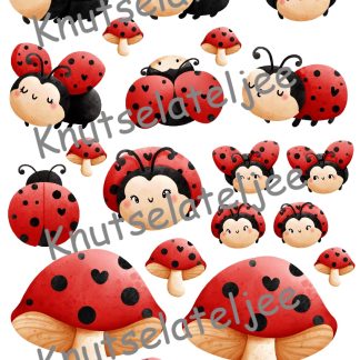 Ladybug embelishments 4 160gr enkelzijdig