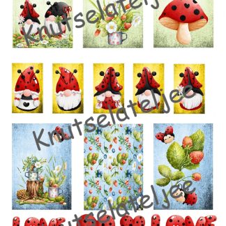 Ladybug envelop 2 160gr enkelzijdig