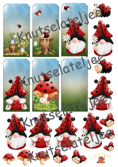 Ladybug tag 1 160gr enkelzijdig