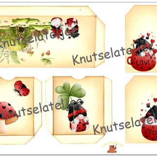 Ladybug trifold 2 160gr enkelzijdig