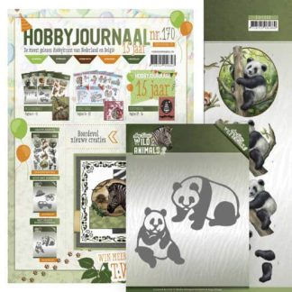 Hobbyjournaal nr 170