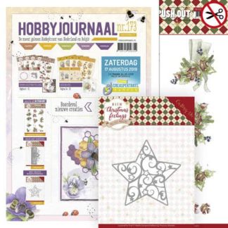 Hobbyjournaal nr 173