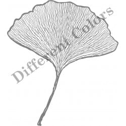 Different Colors Ginko leaf groot (unmounted)