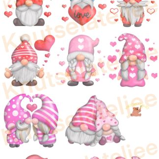 Gnomes Valentijn 1