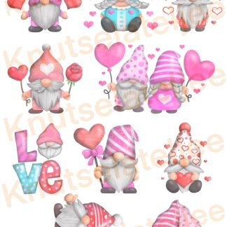 Gnomes Valentijn 4