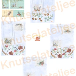 Wintervogels bibkaart+pocket (5st)