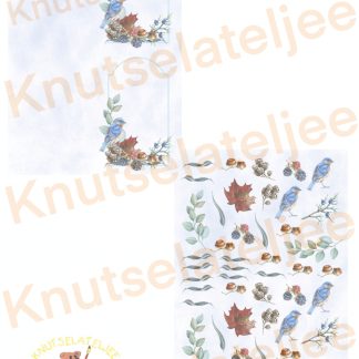 Wintervogels kaartset 2 (2st)