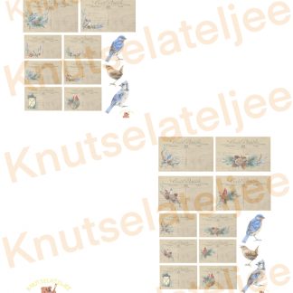 Wintervogels postcards (2st)