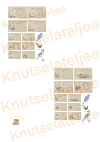 Wintervogels postcards (2st)