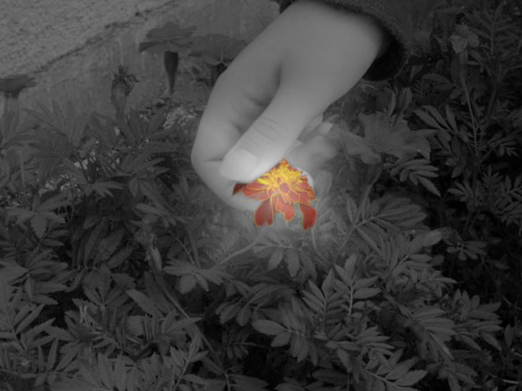 Hope in the Darkness - Koemba