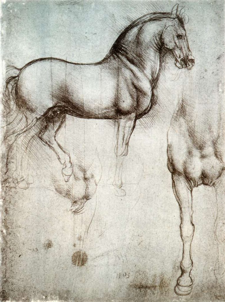 Leonardo da Vinci studie van paard