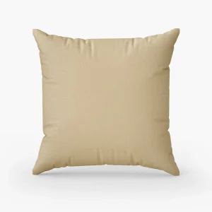 BarnYarn Schaap2