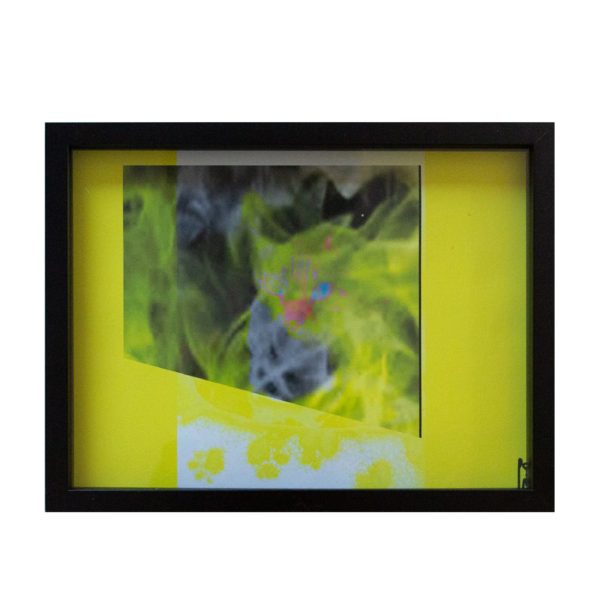 Double Acrylic Glass Frame