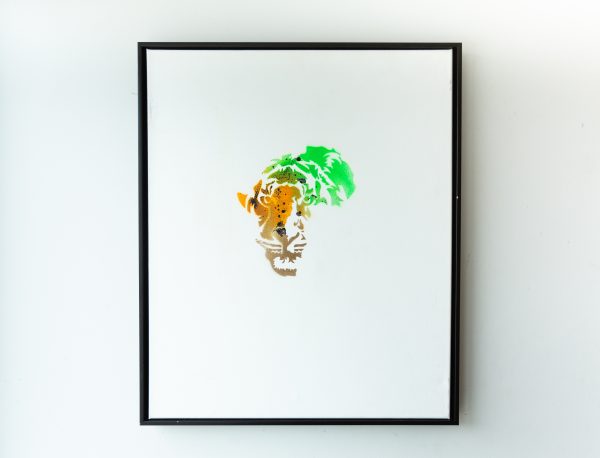 African Tiger Canvas