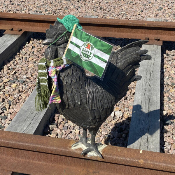 Tuppen i pytterondellen i Ängelholm