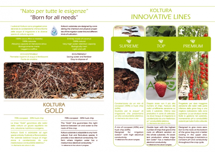 Brochure KOLTURA 2018