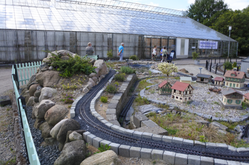 20250810_115123_DSC_0406