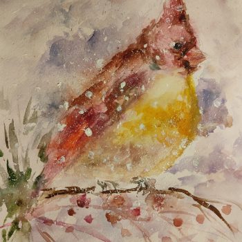 Winter Finch