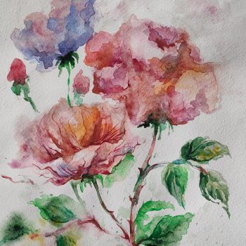 Watercolor flowers