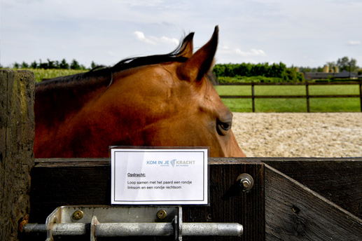 Paardencoaching Ommen - Kom in je kracht - Tarieven