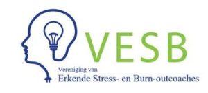 VESB logo