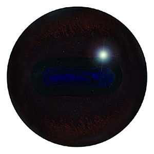 Rådjursögon Mörkbrun– 22 mm