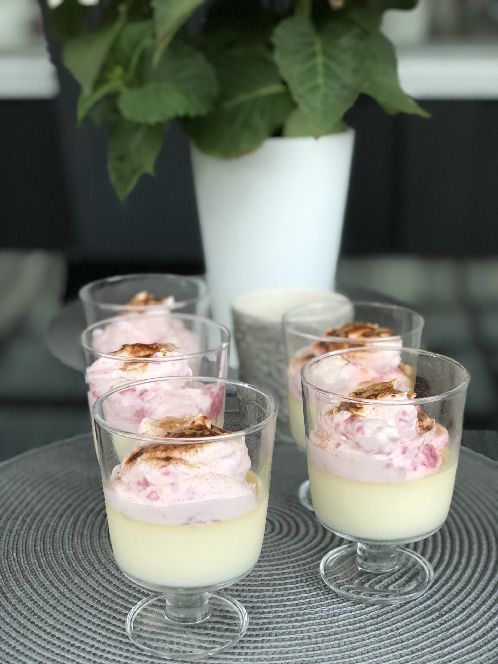 vit chokladpannacotta