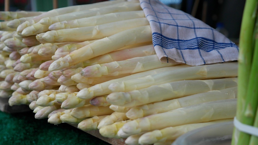 Asperges