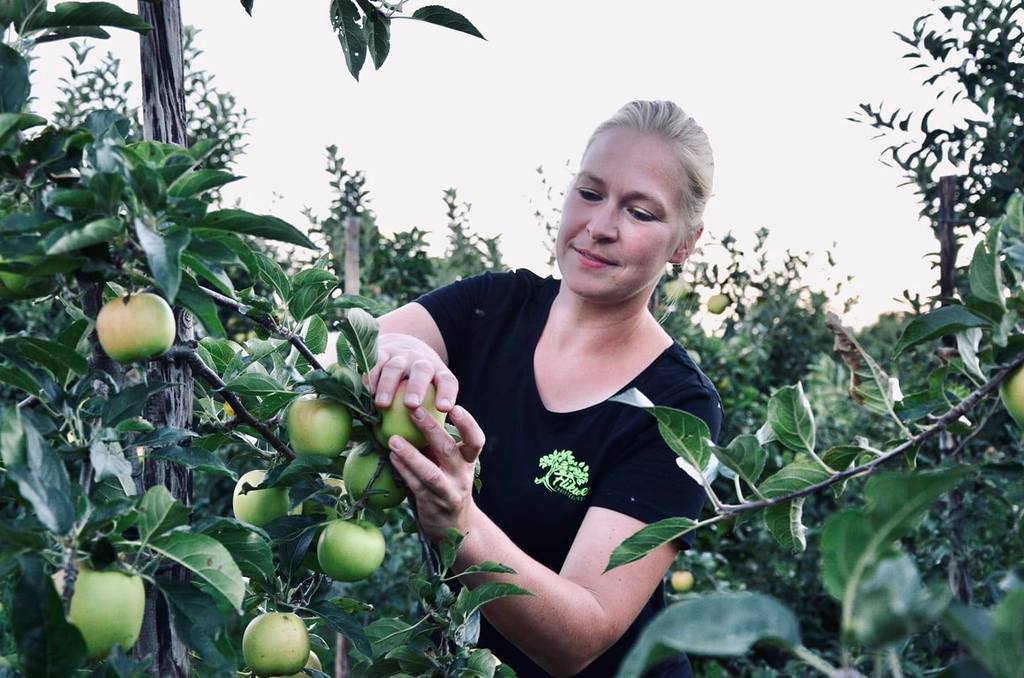 fruitteeltbedrijf flikweert