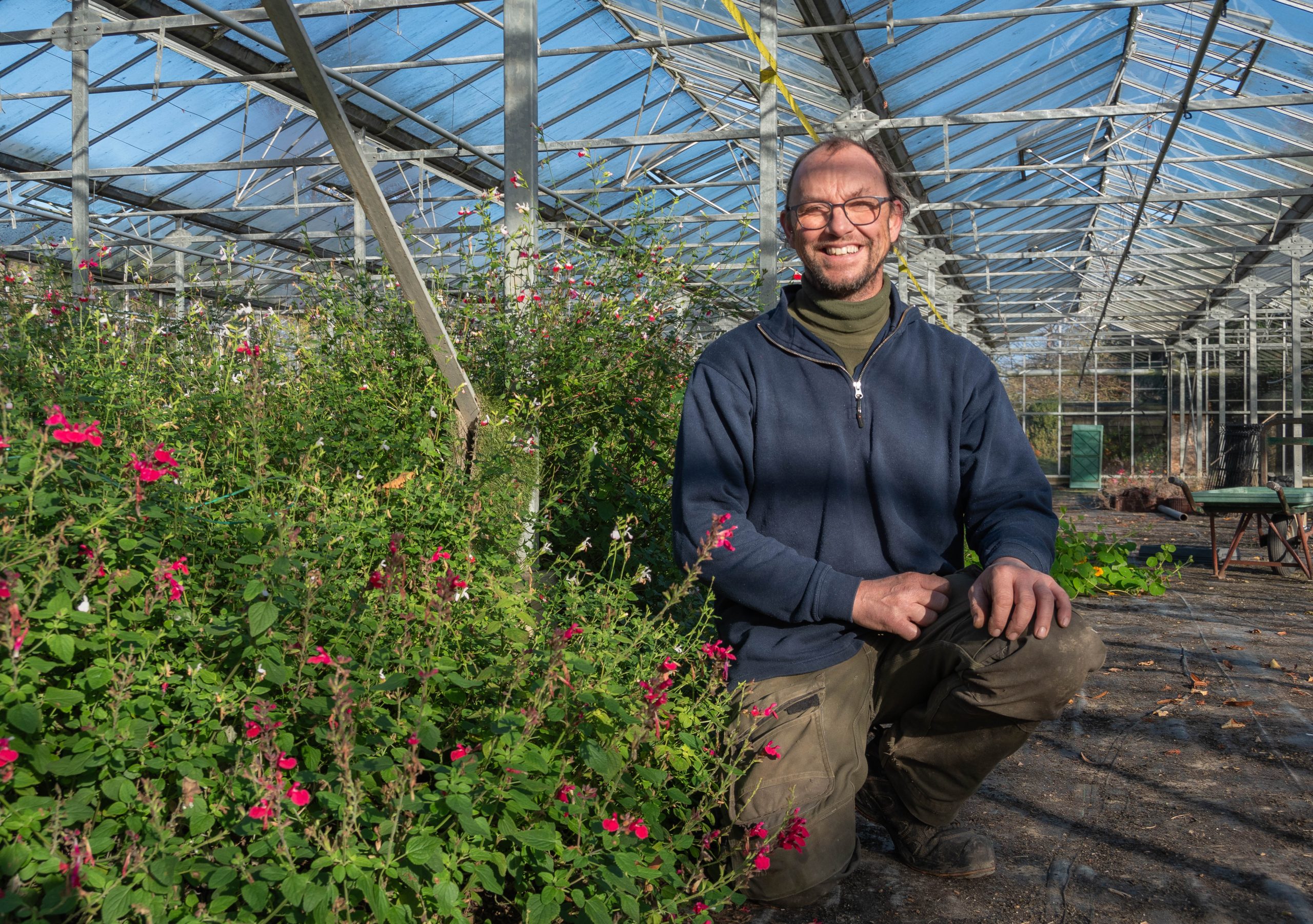 Van Hoeve Sierteelt in Groede