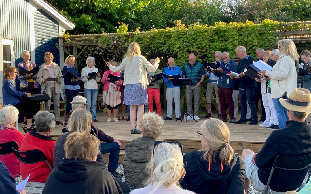 Sommerkoncert under åben himmel