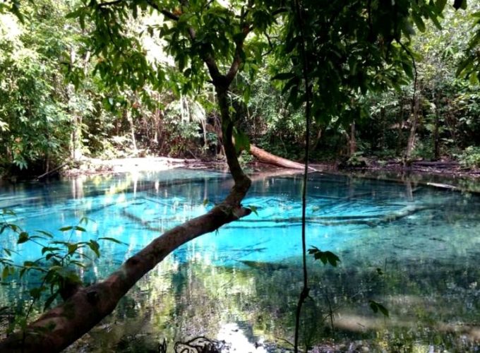 Emerald Pool, Hot Spring