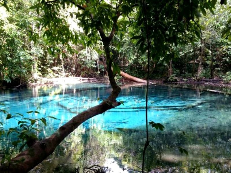 Emerald Pool, Hot Spring