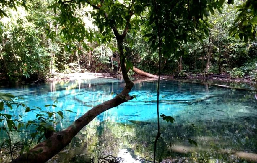 Emerald Pool, Hot Spring Waterfall, Elephant Sanctuary