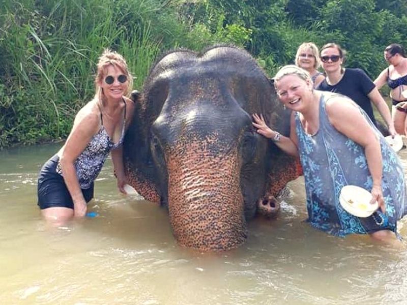 Green-Elephant-Sanctuary-Krabi-Thailand