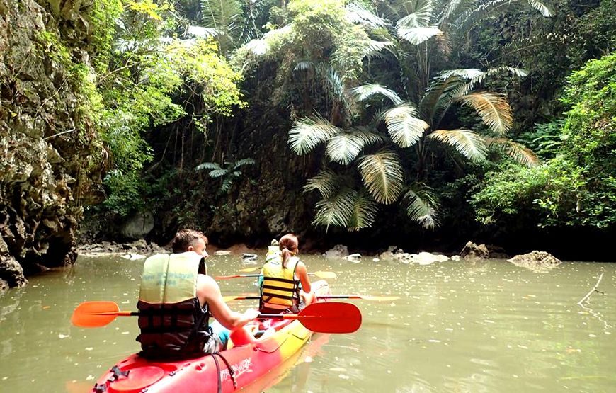 Kayaking Ao Thalane + Elephant Sanctuary – 1 Day