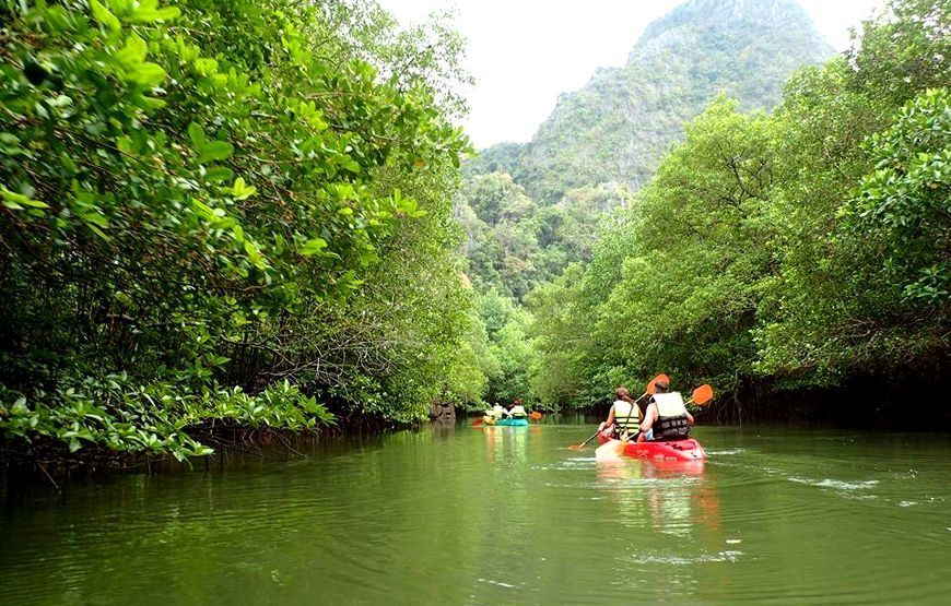 Kayaking Ao Thalane + Elephant Sanctuary – 1 Day