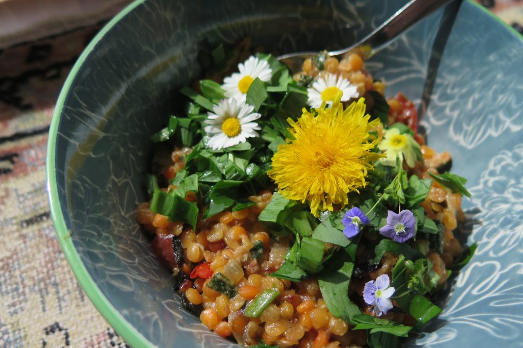 Spitzwegerich-Dal aus Linsen und Spitzwegerich