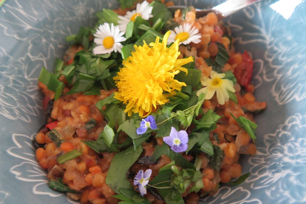 Spitzwegerich-Dal mit Blüten