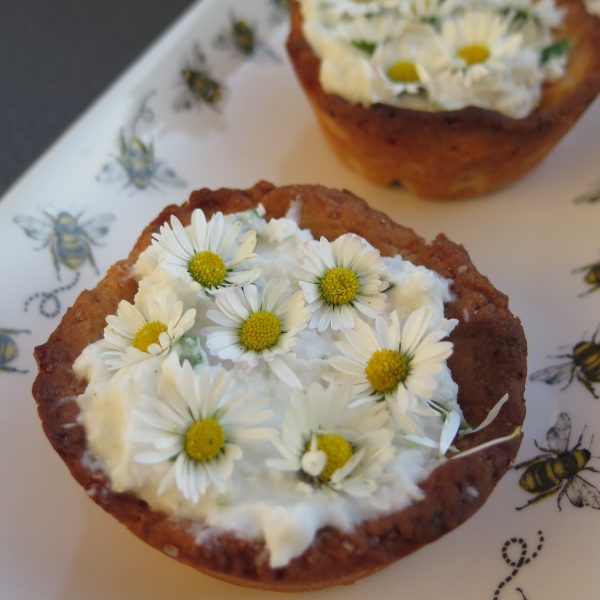 Gänseblümchen Tartelette