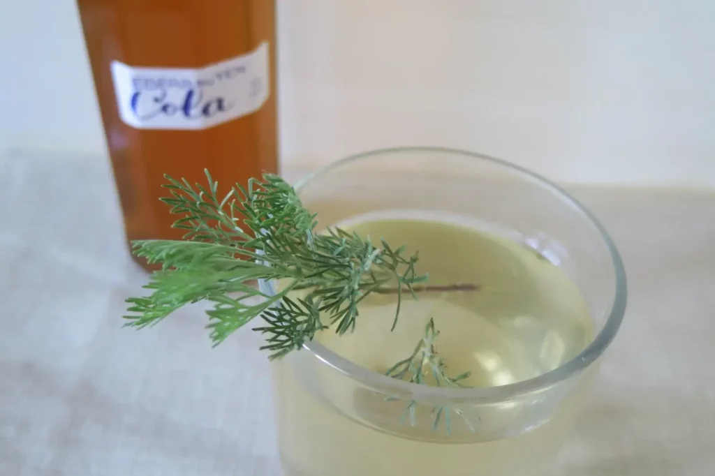 Pflanzencola mit Eberraute - Rezept zum nachmachen