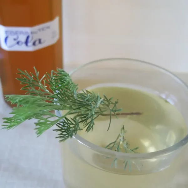 Pflanzencola mit Eberraute - Rezept zum nachmachen