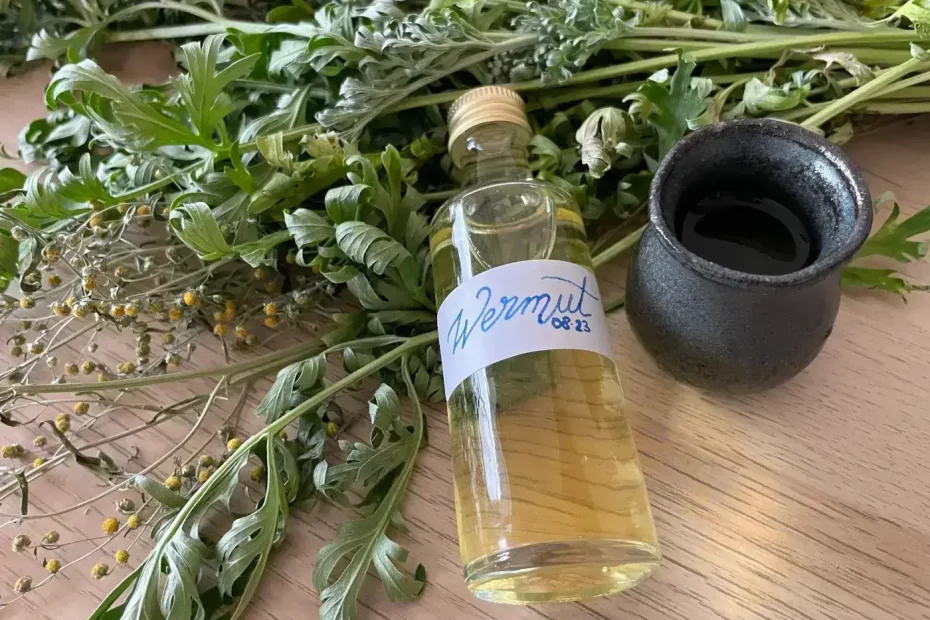 Wermut-Wein selbst ansetzen
