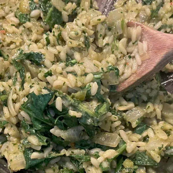 Löwenzahn-Risotto - Wildkräuter-Rezept auf www.kraeuterley.at